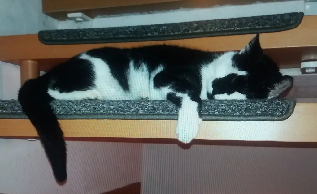 Andachtsbild von Annemarie und Elke mit Snoopy im Herzen gest 04.01.2022