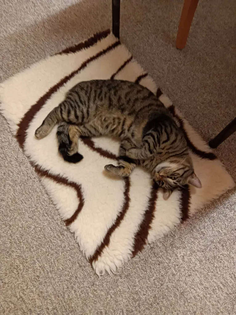 Andachtsbild von Filou