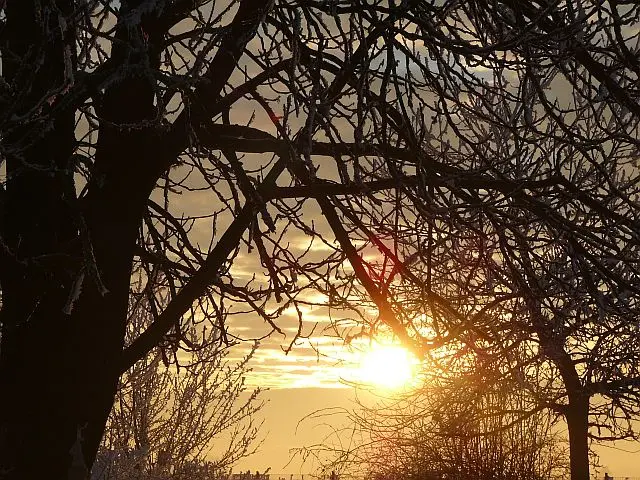 Andachtsbild von Micha