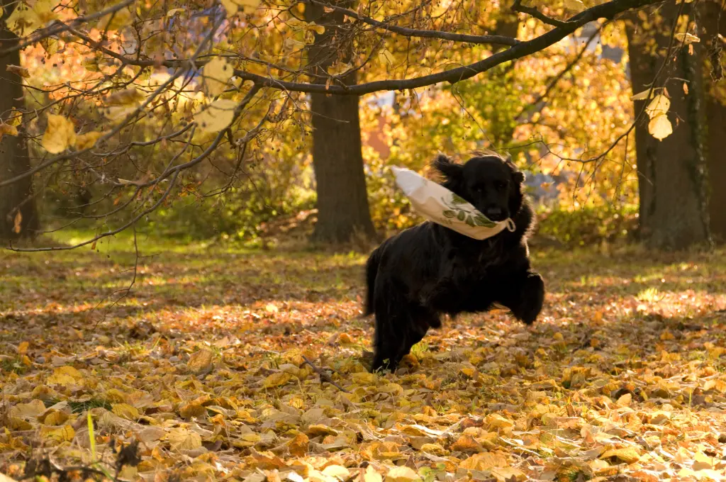 Andachtsbild von Gabriele Steinmetz