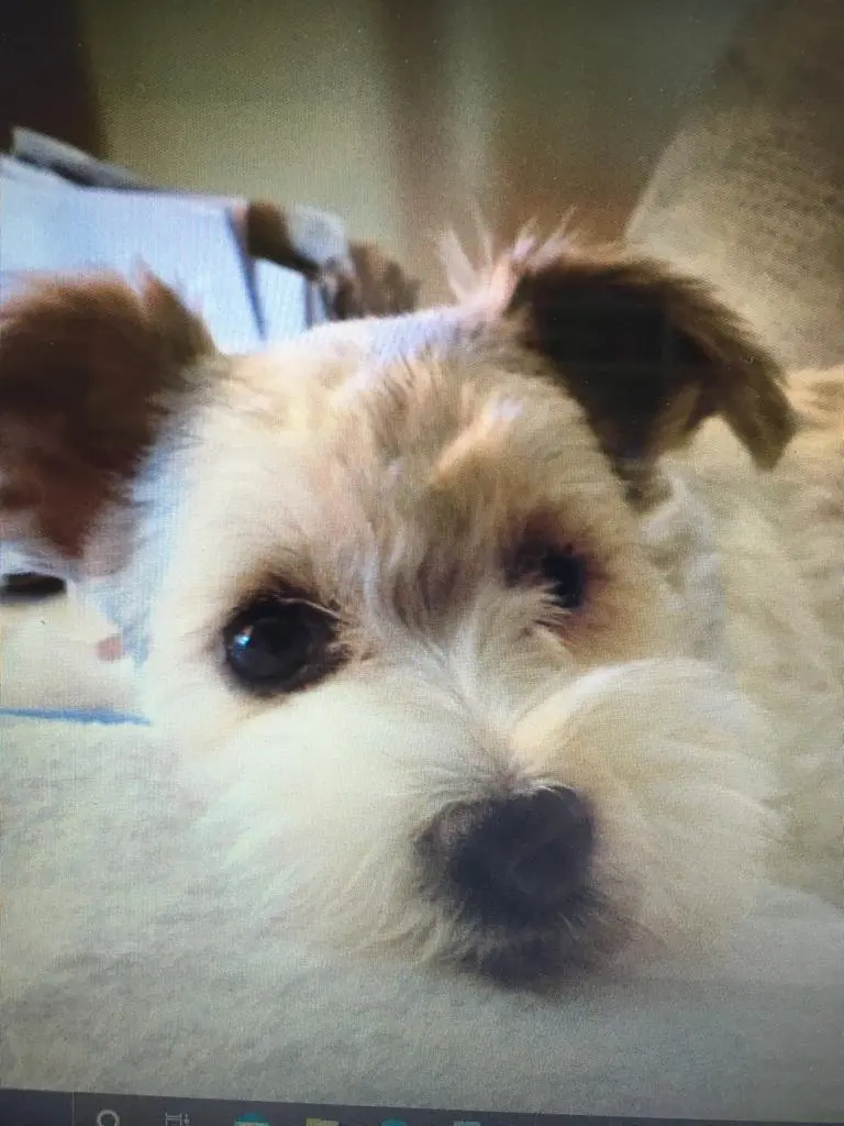 Condolence image of Blinkie und dieter jullien