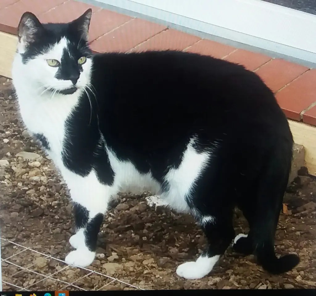 Andachtsbild von Annemarie und Elke mit Snoopy im Herzen gest 04.01.2022