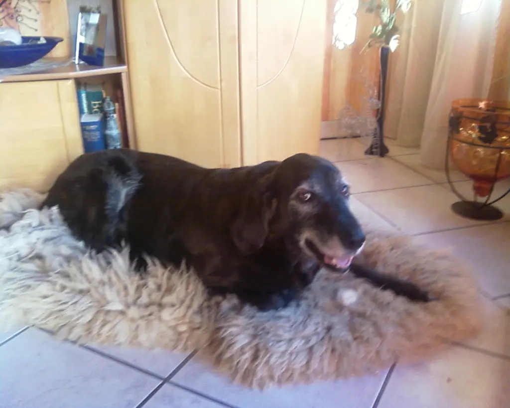 Image from Tessa