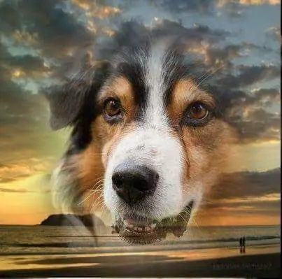 Condolence image of Birgit  forever missing Naboo