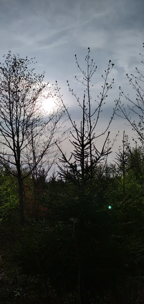 Condolence image of Erika