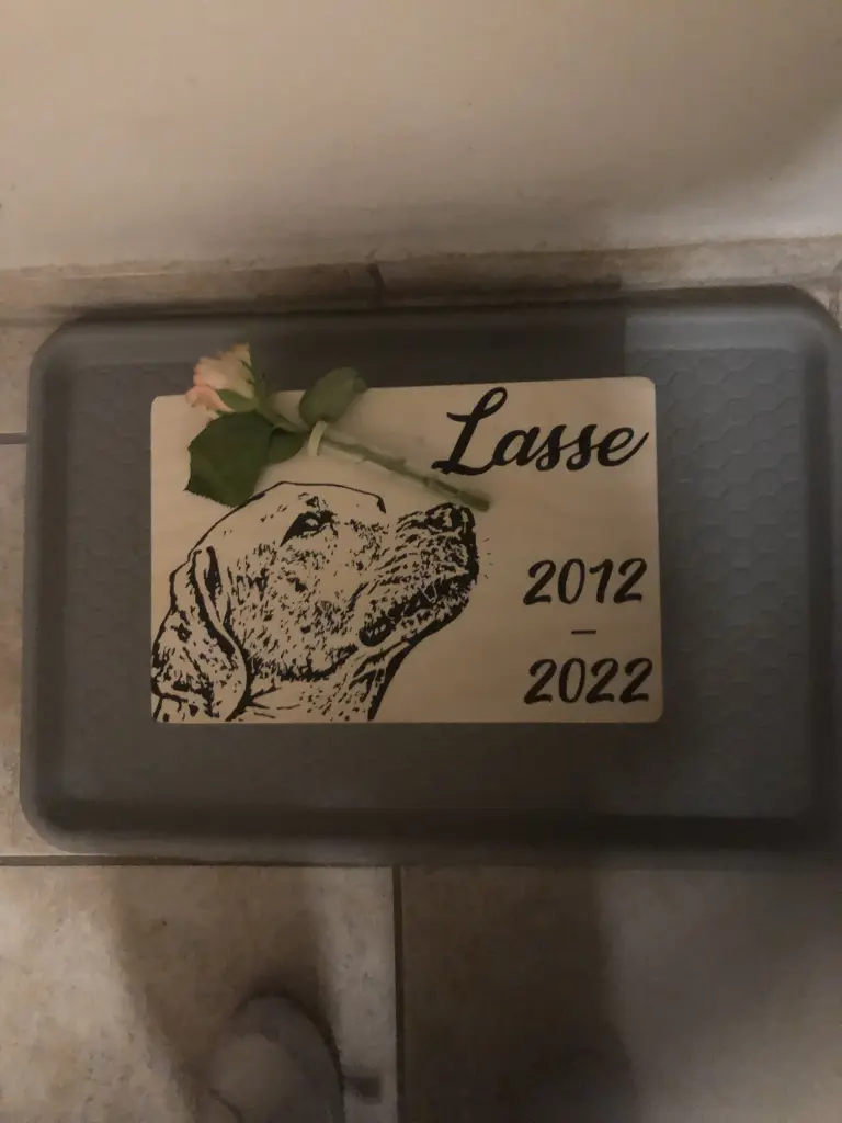 Image from Lasse
