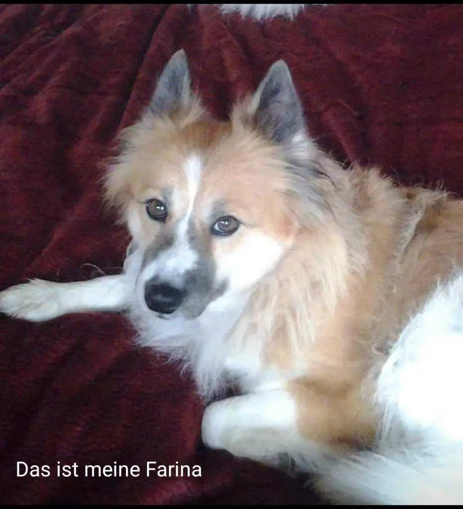 Image from Farina
