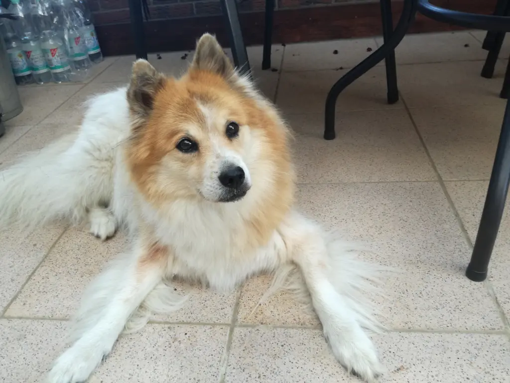 Image from Kero