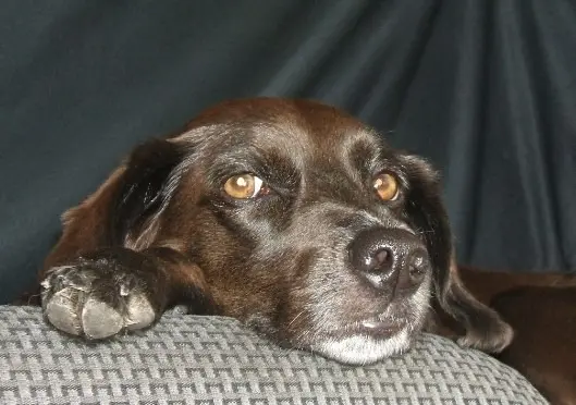 Condolence image of Erika