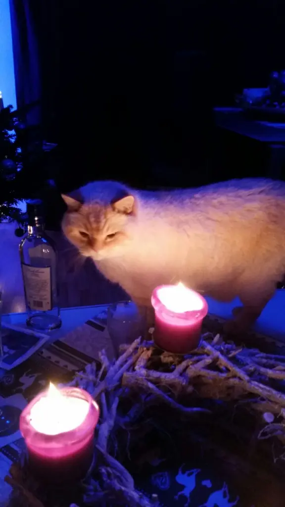 Condolence image of Sylke