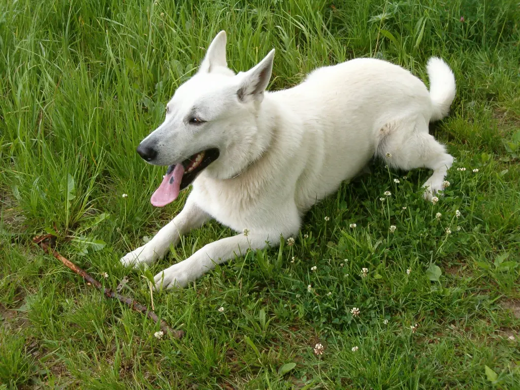 Andachtsbild von Jürgen