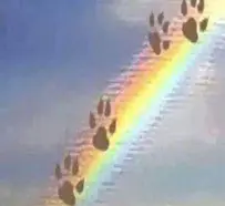 Andachtsbild von Elli