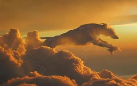 Andachtsbild von Barbara RauDi