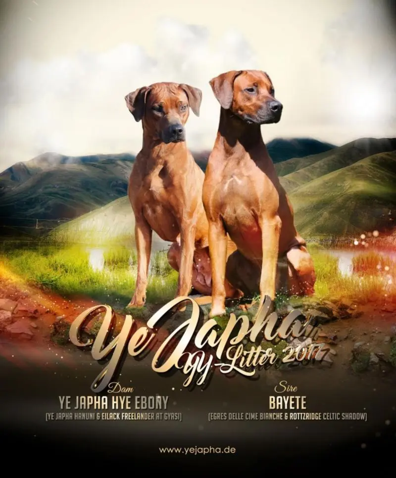 Andachtsbild von Frauchen