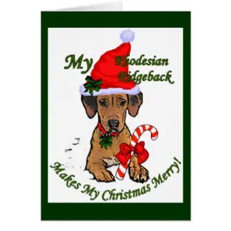 Andachtsbild von Frauchen