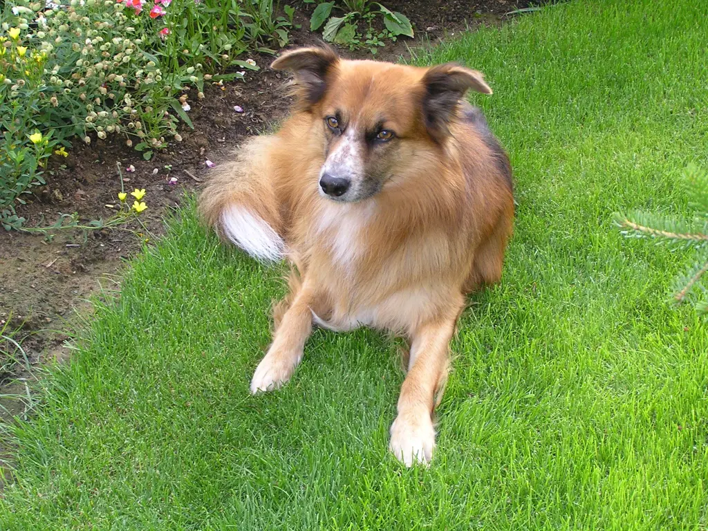 Andachtsbild von Anja mit Merlin und Amor im Herzen