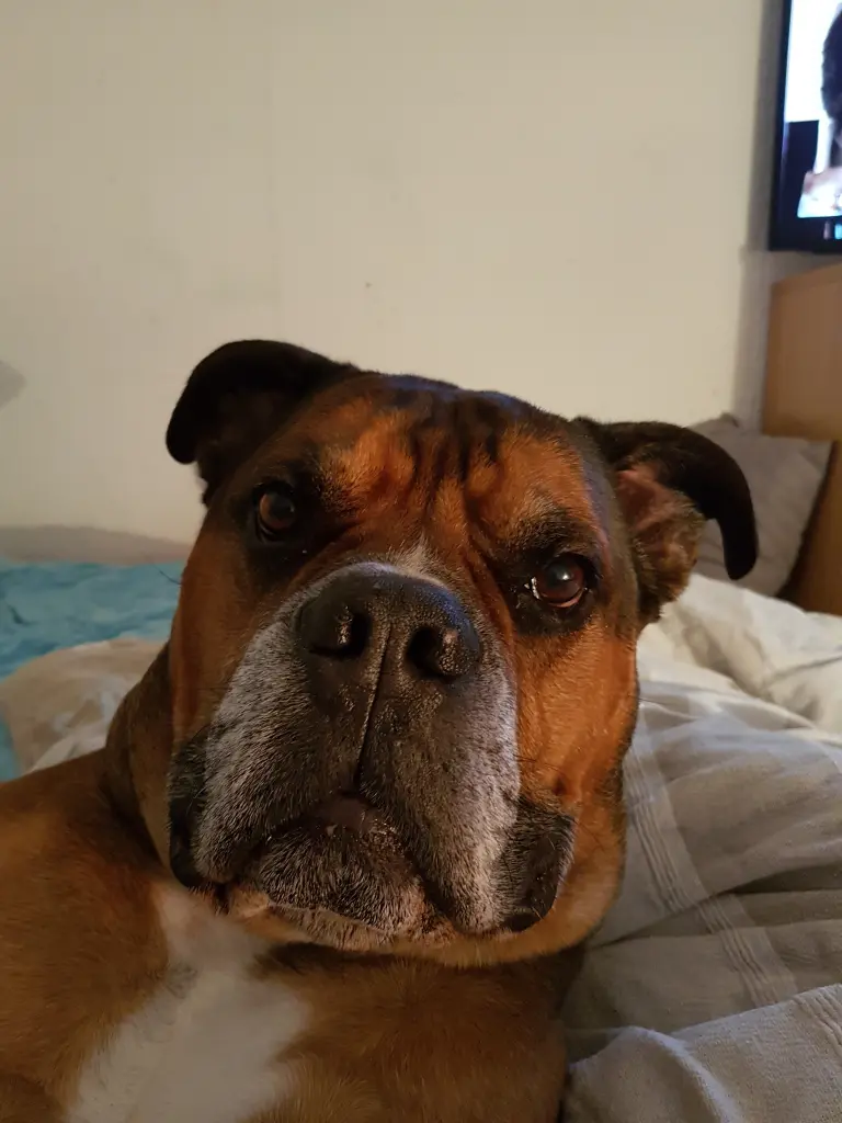 Andachtsbild von Alexandra und Linus