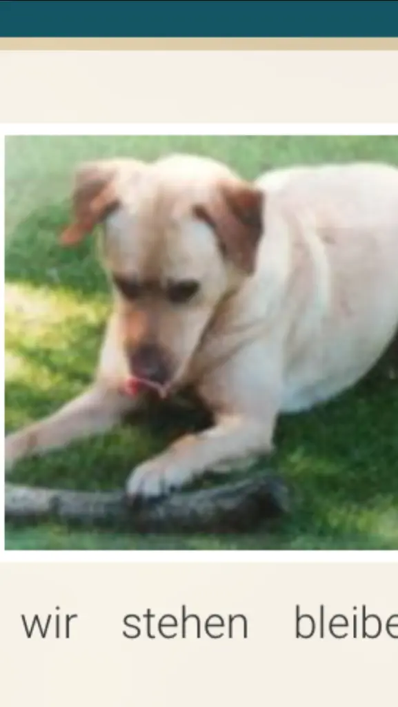 Andachtsbild von Patricia  Assali 