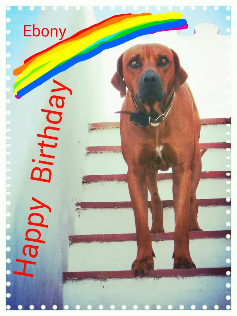 Andachtsbild von Ebony