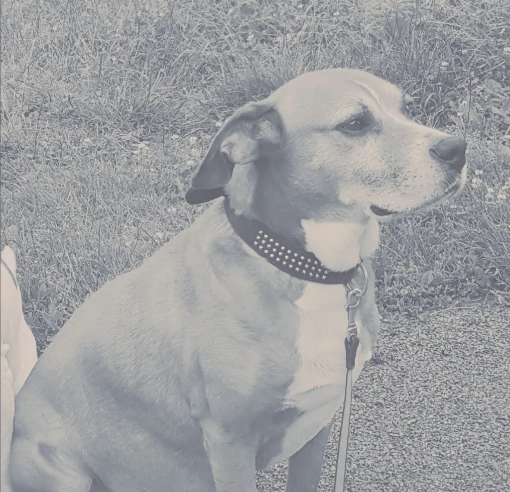 Andachtsbild von Iris mit Tayler im Herzen