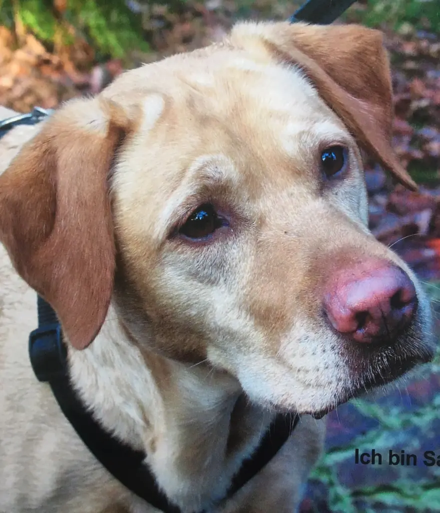 Andachtsbild von Patricia Assali