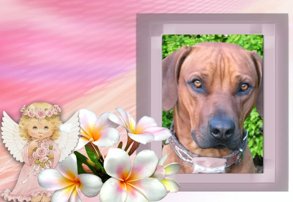 Andachtsbild von Fur Ebony❤