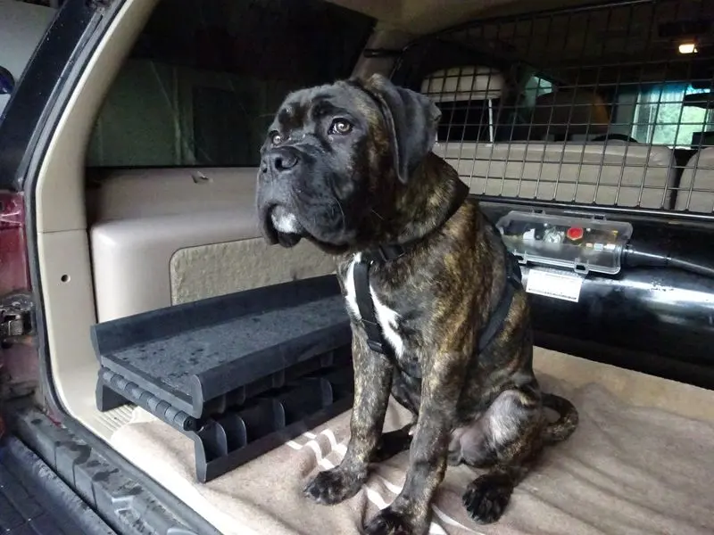 Andachtsbild von Enzo