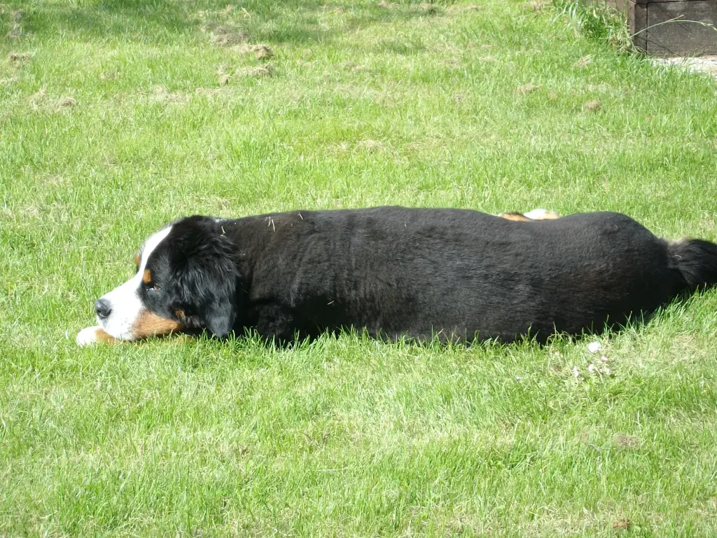 Andachtsbild von Birgit und Dieter