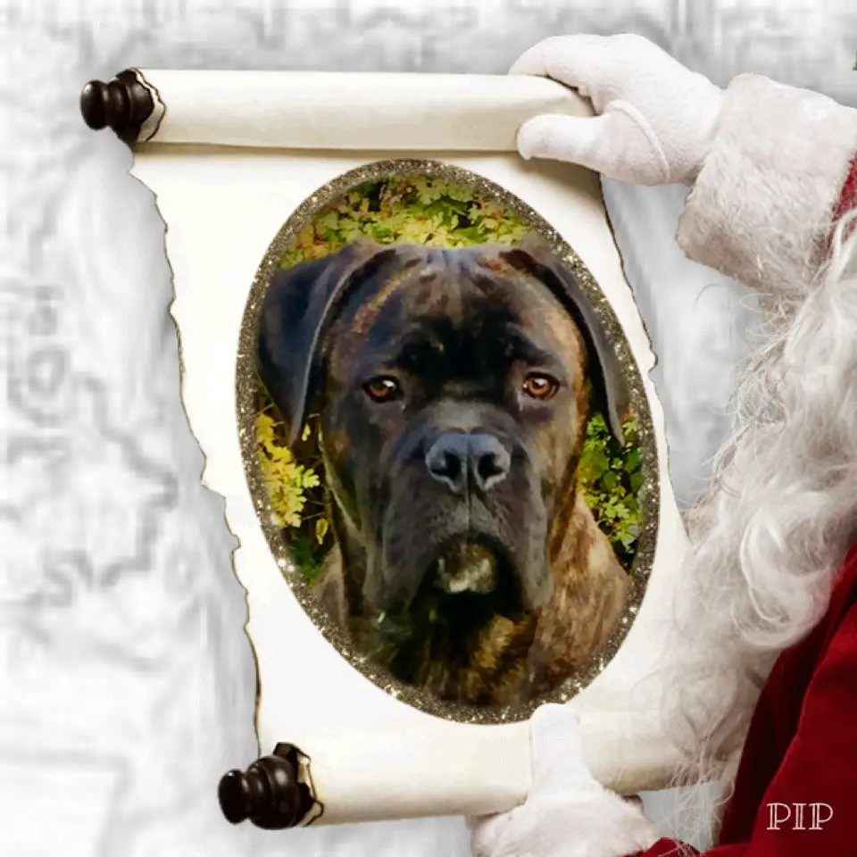 Andachtsbild von Frauchen