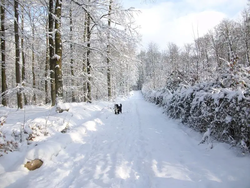 Andachtsbild von Birgit