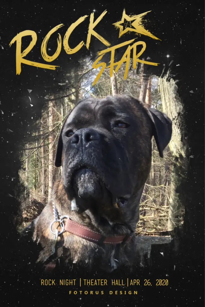 Andachtsbild von Enzo 