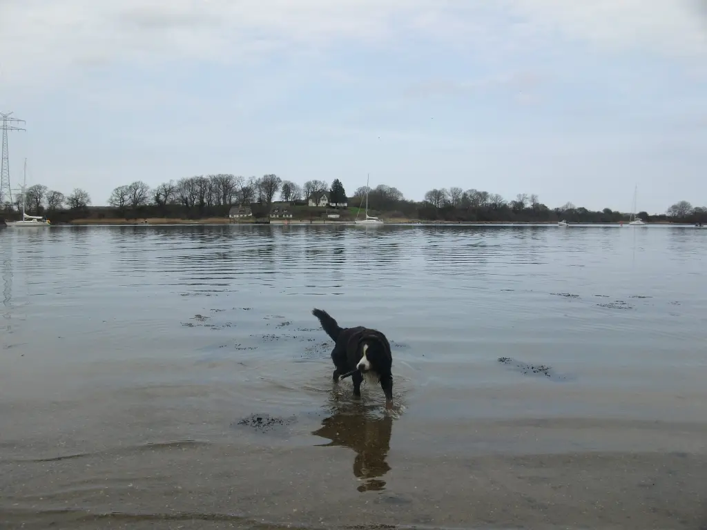 Andachtsbild von Birgit