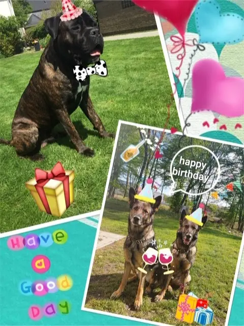 Andachtsbild von Enzo