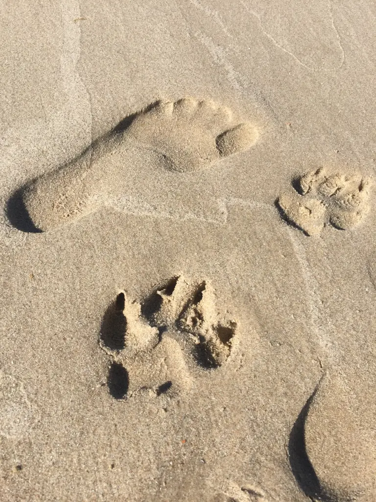 Andachtsbild von Enzo 