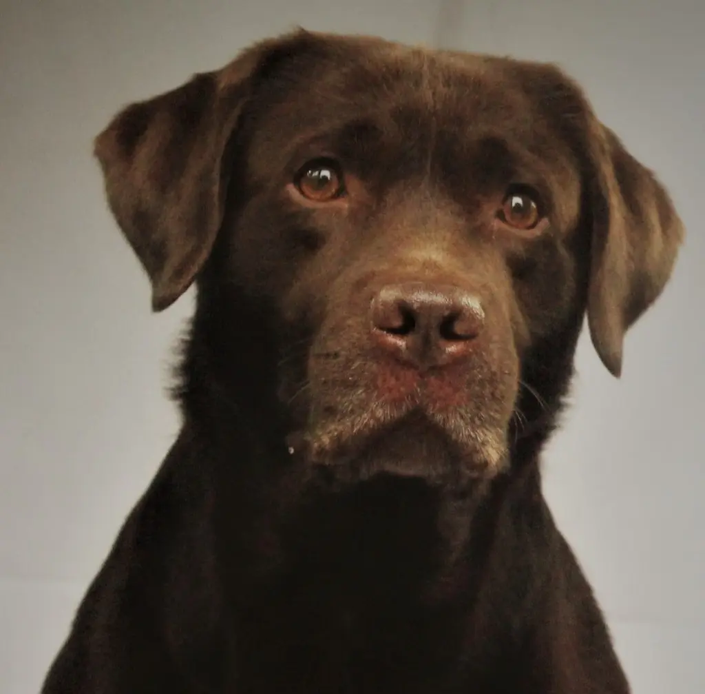 Andachtsbild von Jessica