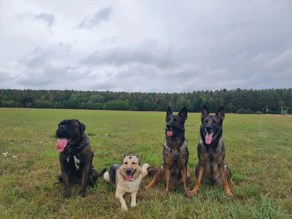 Andachtsbild von Dein Rudel