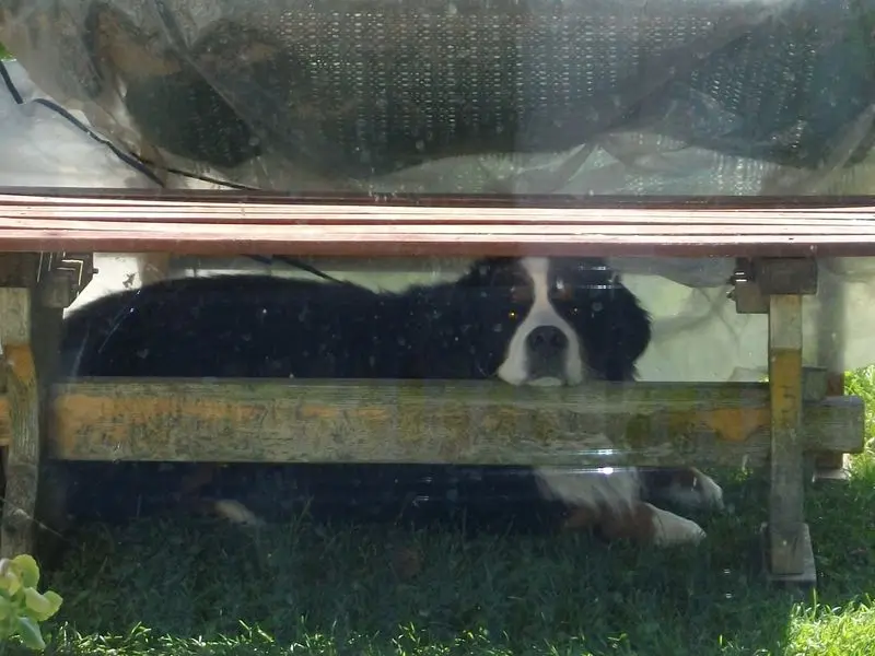 Andachtsbild von Birgit