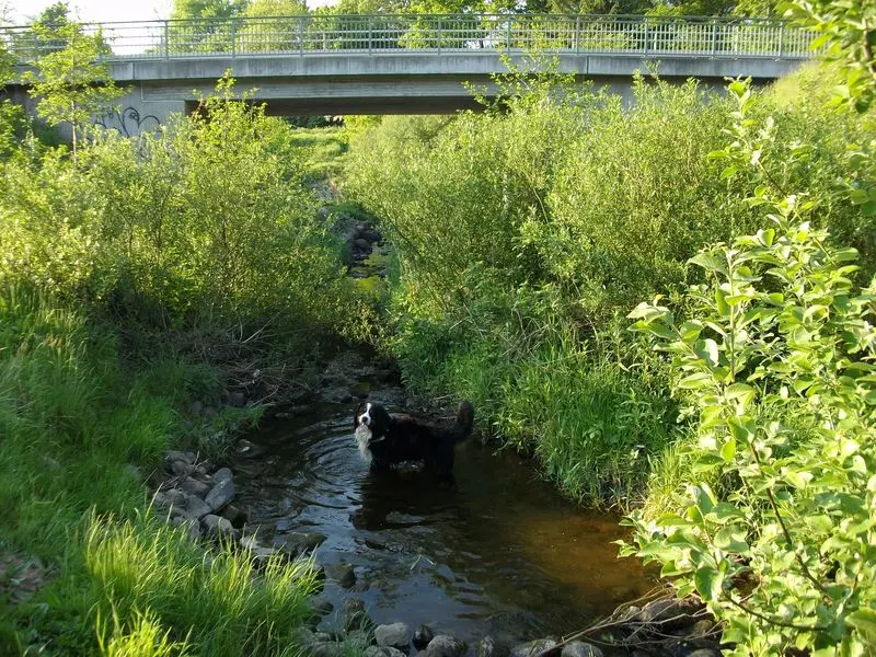 Andachtsbild von Birgit