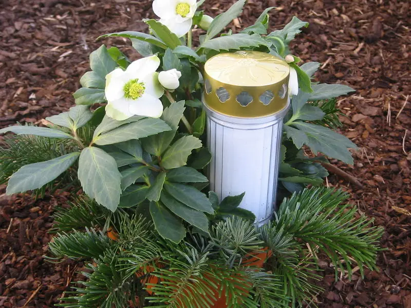 Andachtsbild von Frauchen