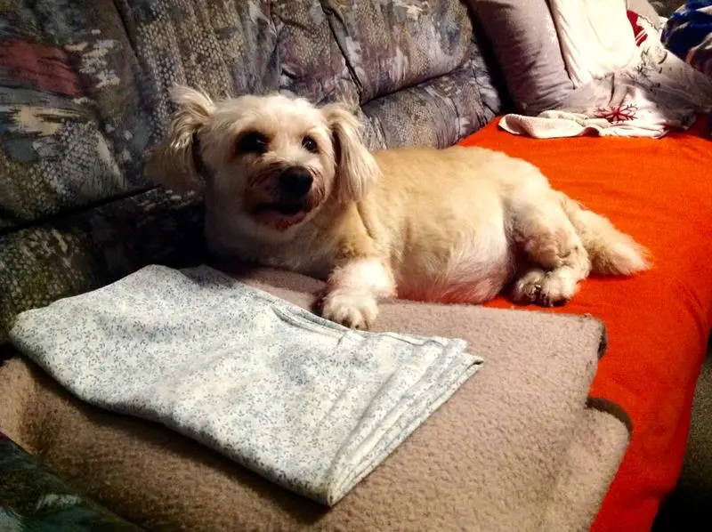 Andachtsbild von Mircea und Yanca 