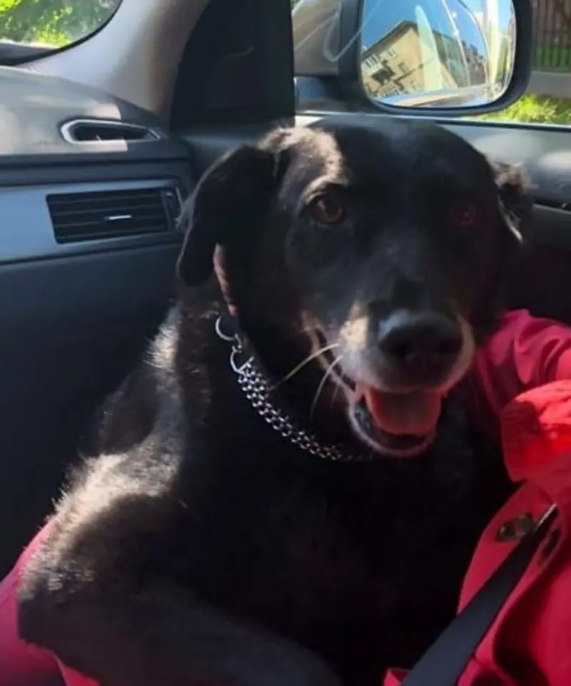 Andachtsbild von Kate und Chernuscha