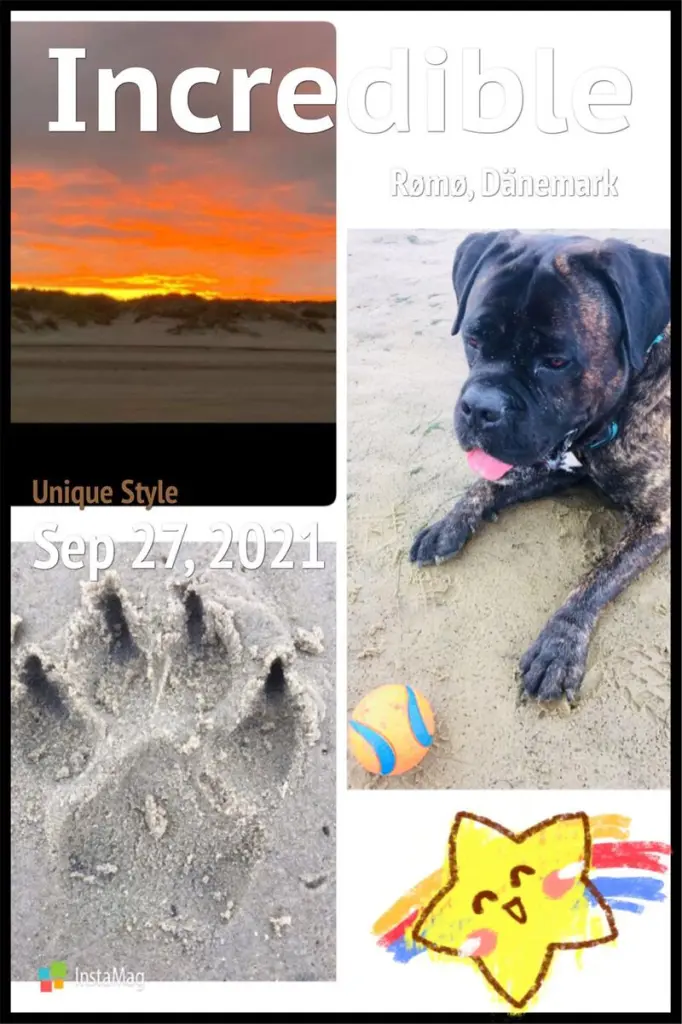 Andachtsbild von Dein Rudel