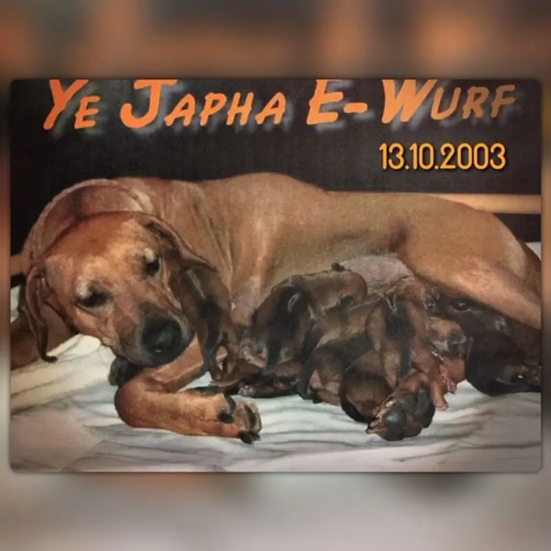 Andachtsbild von Frauchen