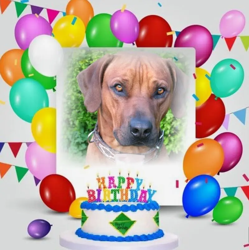 Andachtsbild von 18.Geburtstag❤️❤️❤️❤️❤️❤️❤️❤️❤️❤️❤️❤️❤️❤️❤️❤️❤️❤️