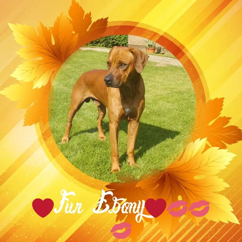 Andachtsbild von ❤️❤️❤️❤️❤️❤️❤️❤️❤️❤️❤️❤️❤️❤️