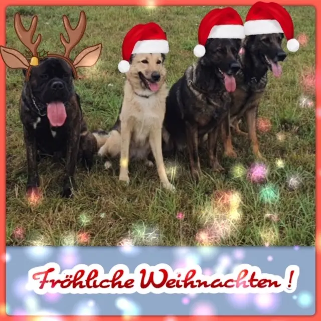 Andachtsbild von Frauchen