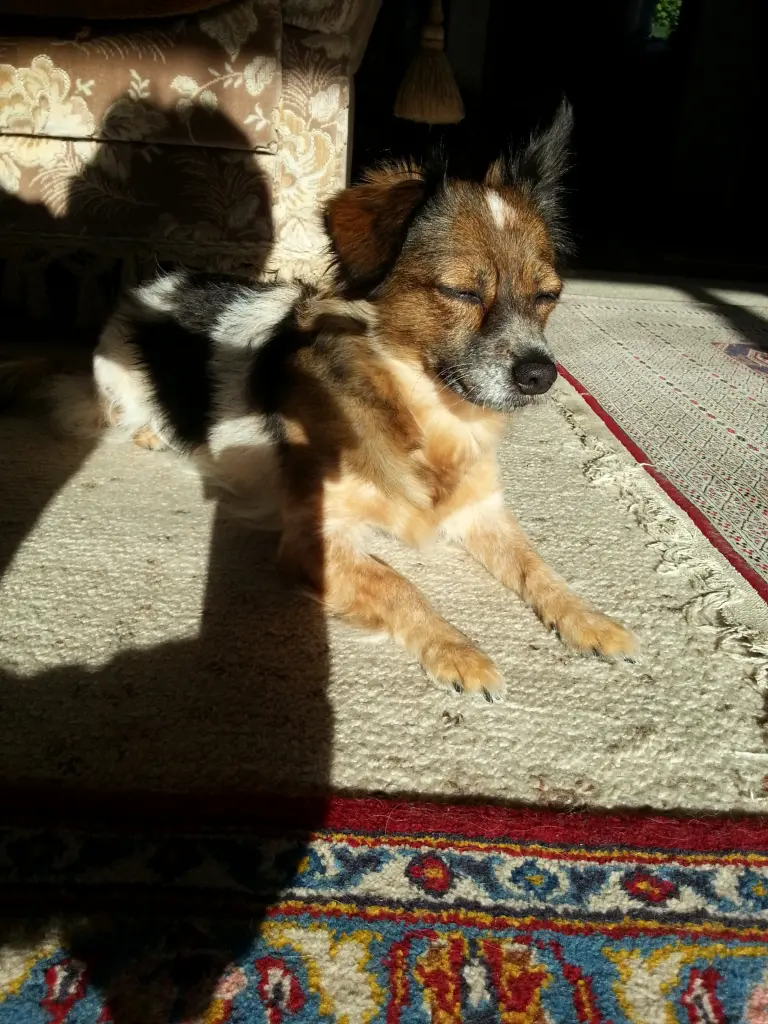 Andachtsbild von Jasmin & Gina