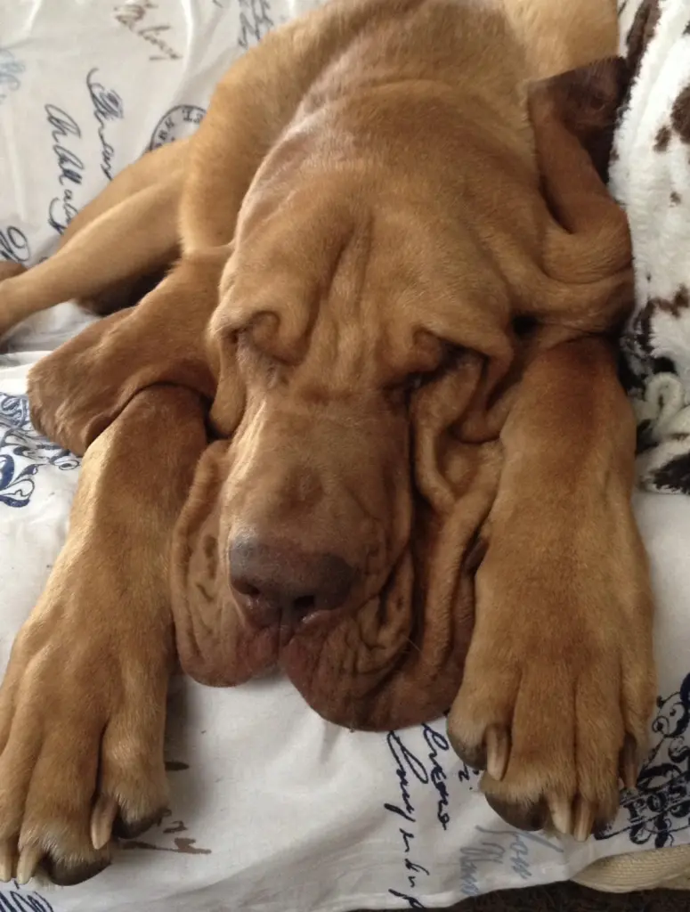 Andachtsbild von Ina&Wolfgang 