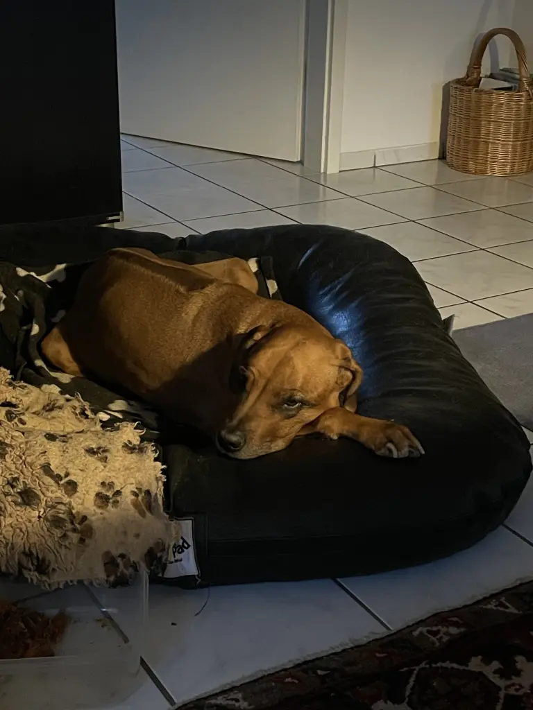 Andachtsbild von Gisela