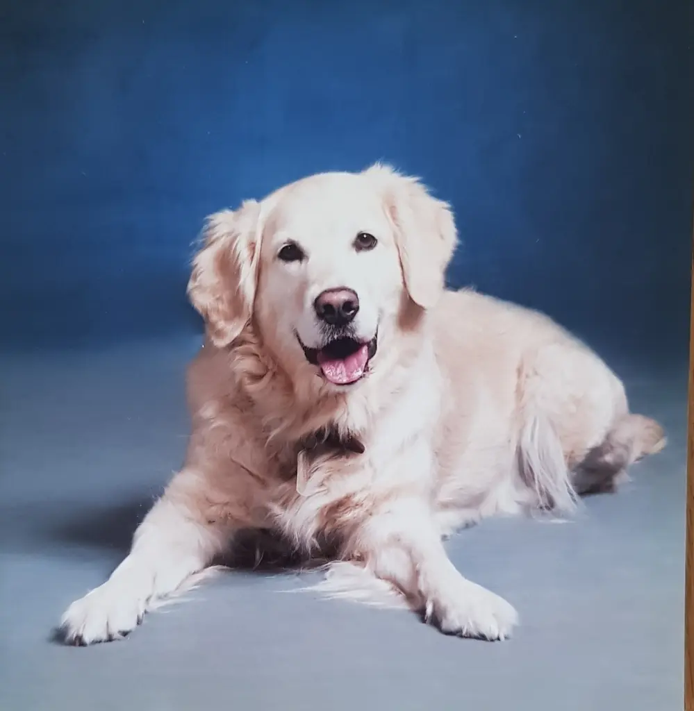 Andachtsbild von Sylvia & Silvio mit Maya im Herzen